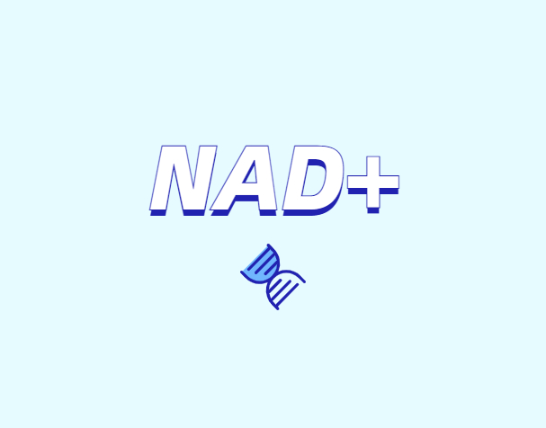 煙酰胺如何控制皮膚老化：NAD/NADH與NMN的關鍵作用