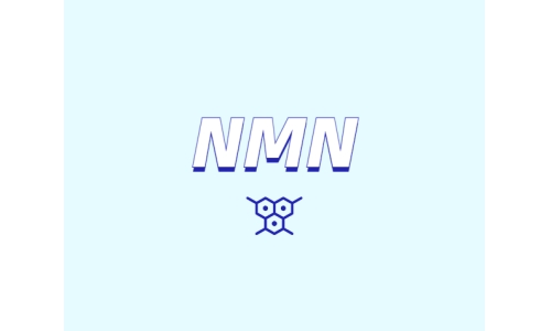 NMN為何是抗衰老研究熱點(diǎn)？