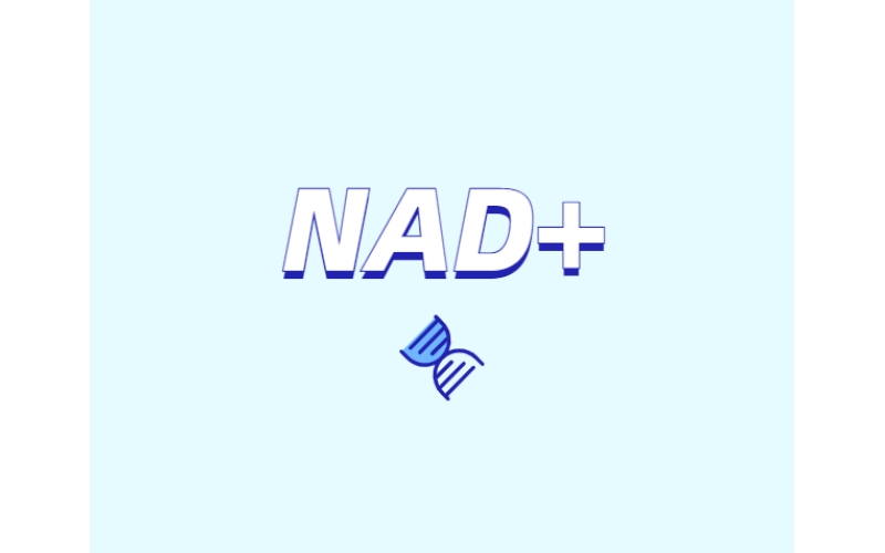 煙酰胺如何控制皮膚老化：NAD/NADH與NMN的關鍵作用